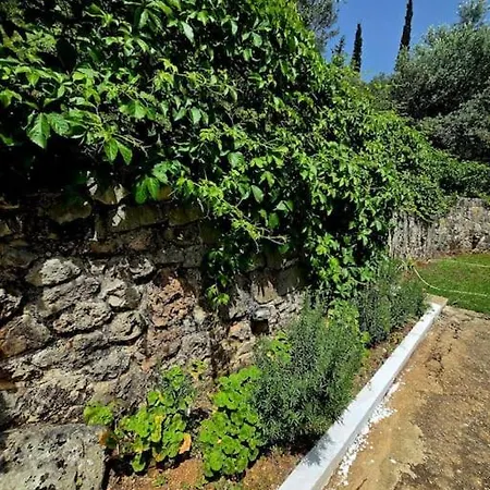 Studio Artik Retreat 5 *