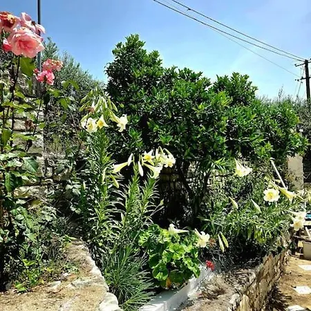Studio Artik Retreat 5 * Himare