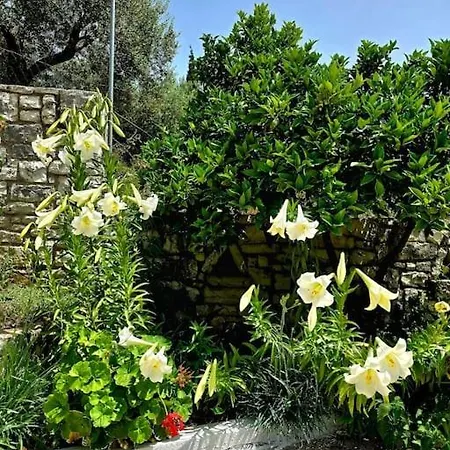 Studio Artik Retreat 5 Himare
