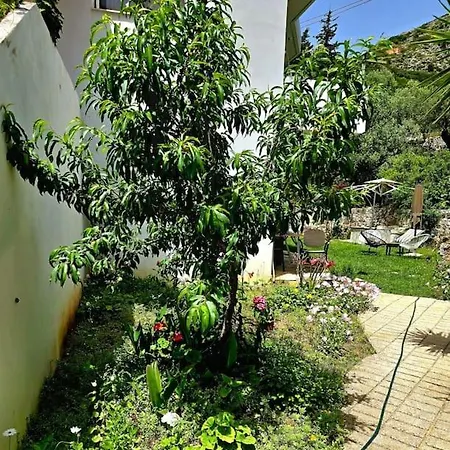 Studio Artik Retreat 5 * Himare